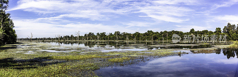 Baray 和 Neak Pean 寺